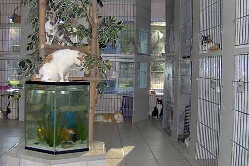 Inside Play Area