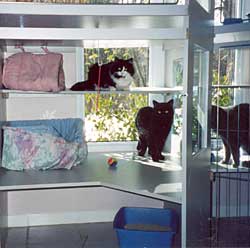 Private Suite