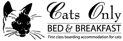 Cat boarding at Cats Only Bed & Breakfast